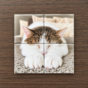 Fotomagneet puzzel 2x2 — 4 magneten