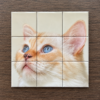 magnetische-fotopuzzel-3x3-1.png Fotomagneet puzzel 3x3 — 9 magneten