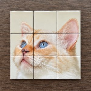 Fotomagneet puzzel 3x3 — 9 magneten