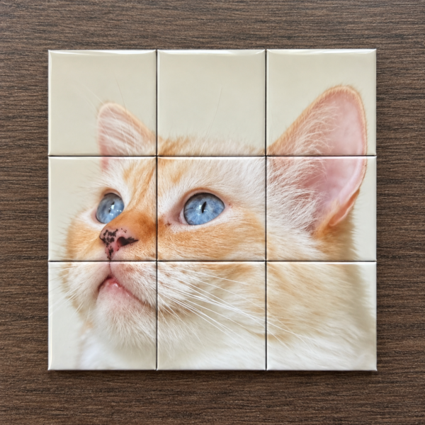magnetische-fotopuzzel-3x3-1.png Fotomagneet puzzel 3x3 — 9 magneten