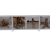 fotolijst-3d-1x4-wit-foto Fotolijst voor fotomagneten